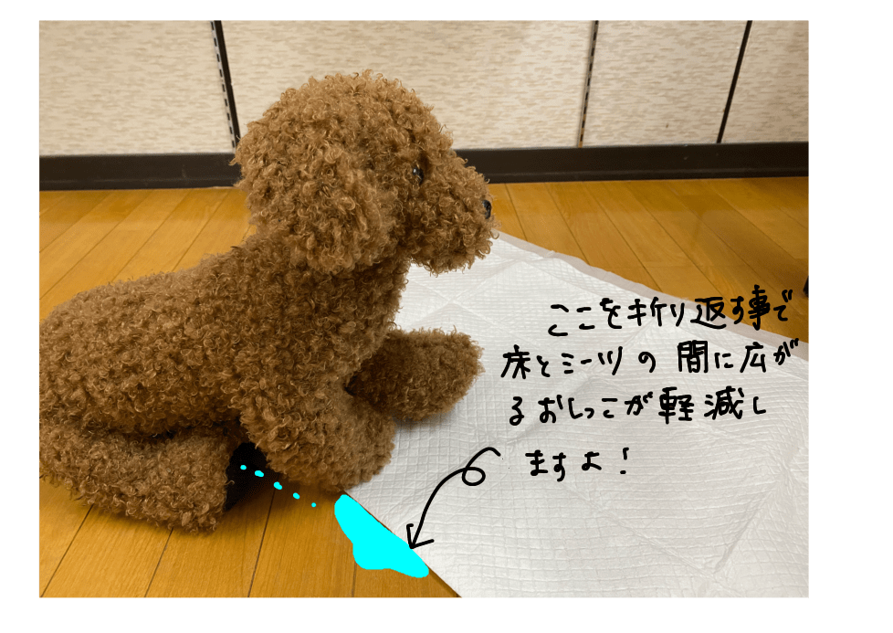 犬のトイレのしつけお悩み解決編 ペットシーツ破き 食糞等 あおぞらドッグラン